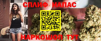 стафф Гусев