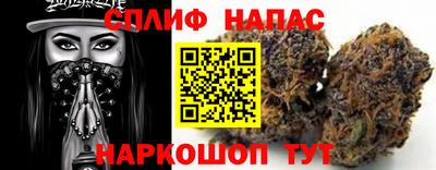 стафф Гусев