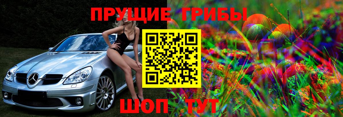 Галлюциногенные грибы прущие грибы  Псилоцибиновые грибы прущие грибы  Нижнекамск  Вход с VPN 